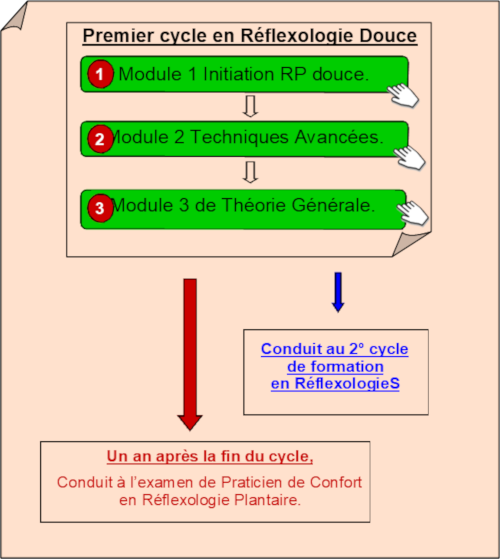 1 cycle de formation en reflexologie